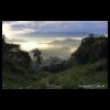 guate_nature001.jpg