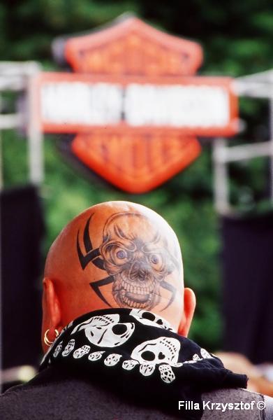 harley002.jpg