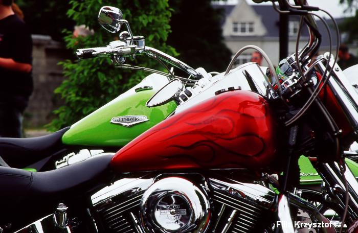 harley014.jpg