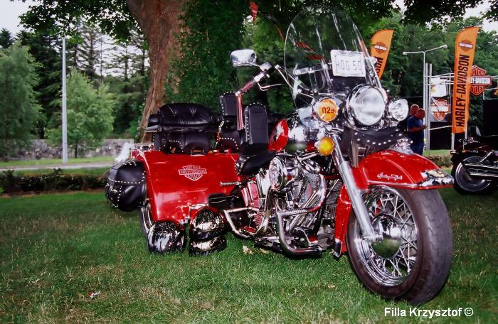 harley016.jpg
