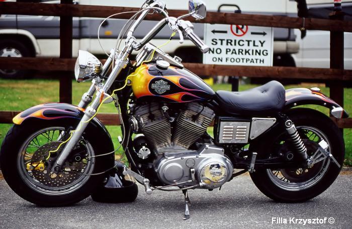 harley017.jpg