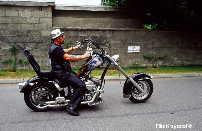 harley018.jpg