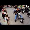 harley020.jpg
